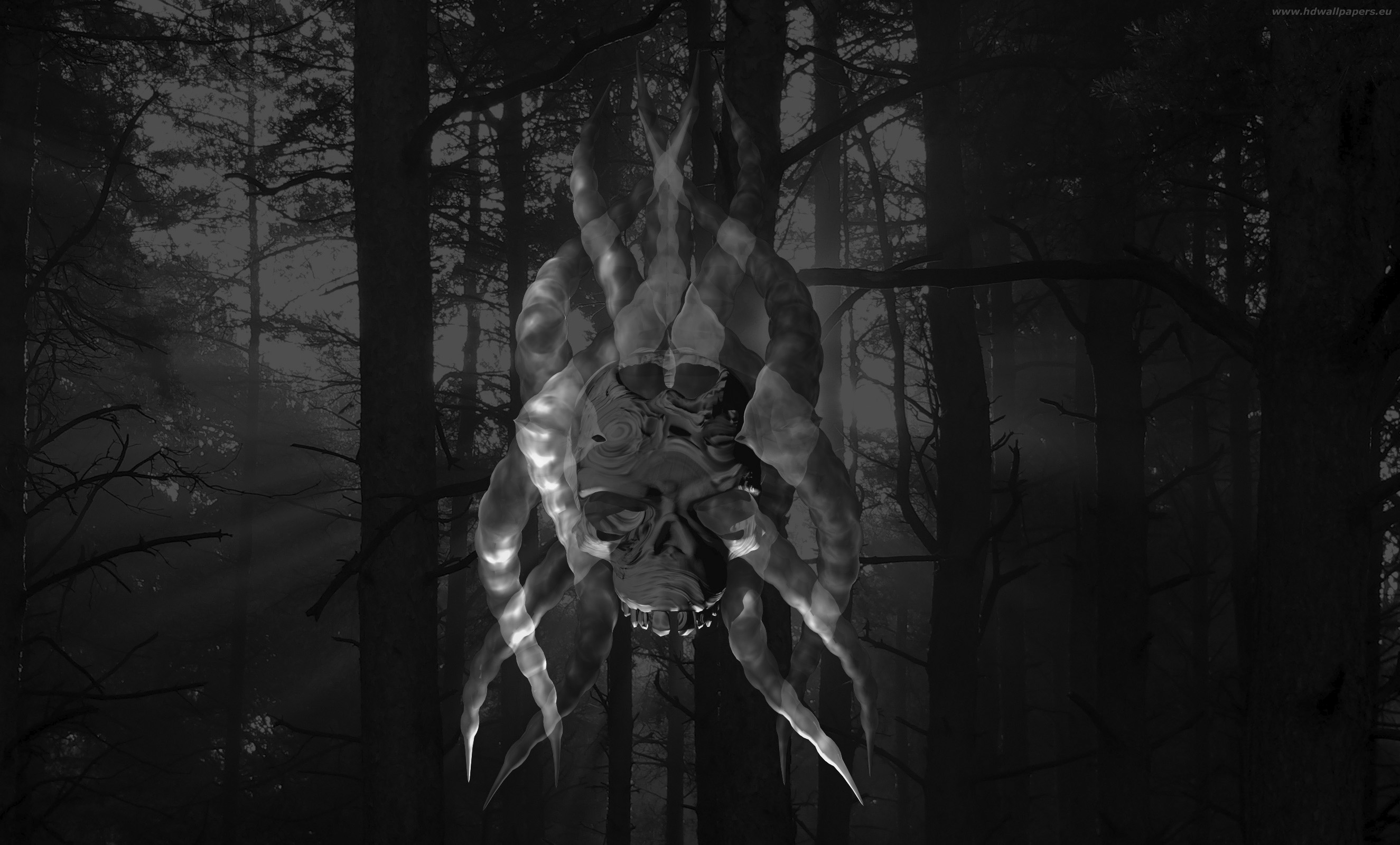 skull-tapeta-na-plochu-2650x1600