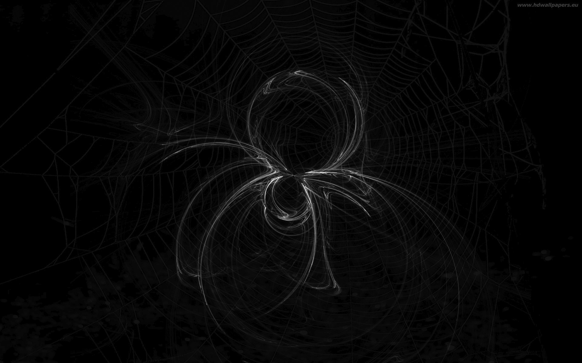 spider-tapety-na-plochu-zdarma-1920x1200