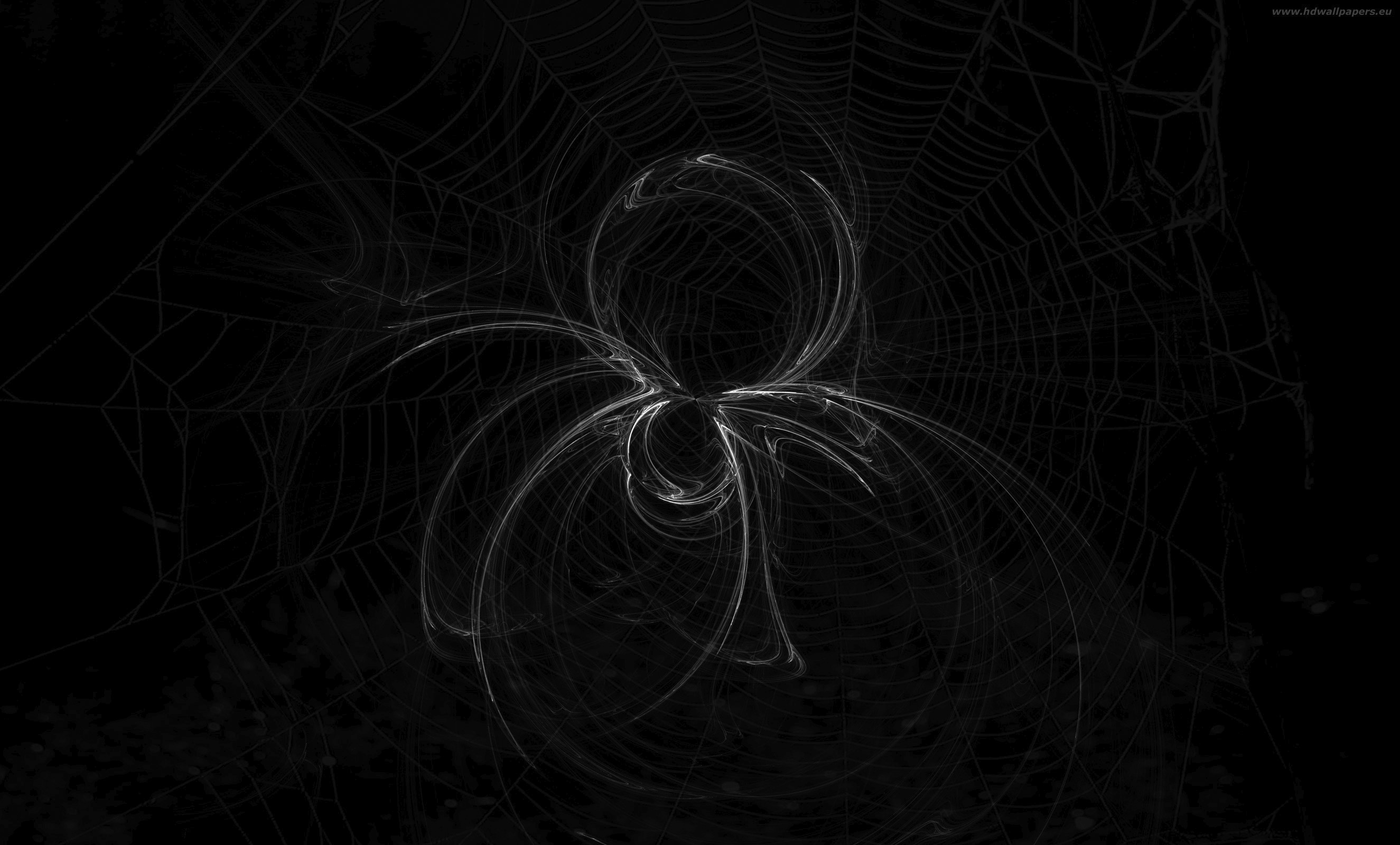 spider-tapety-na-plochu-zdarma-2650x1600