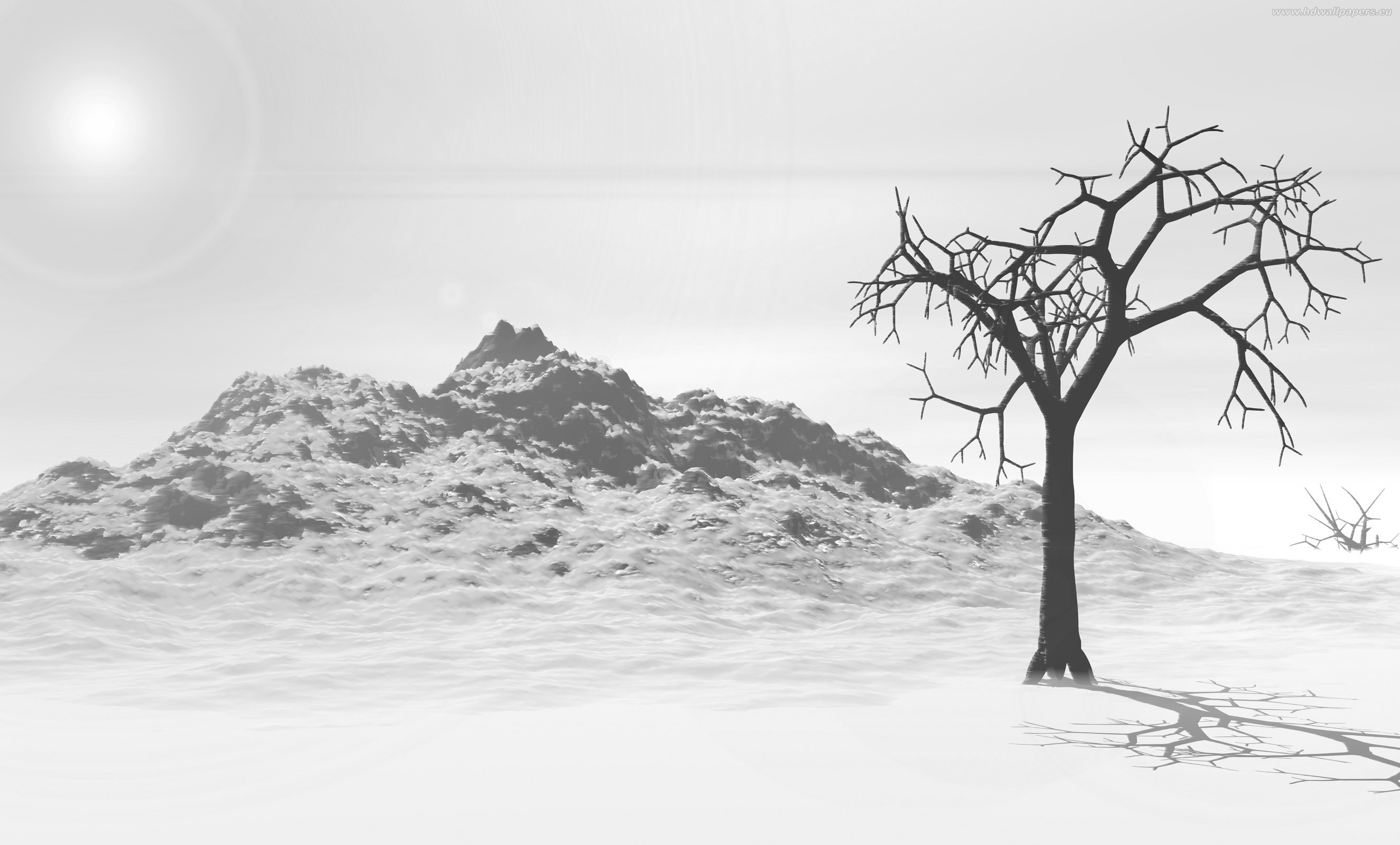 tapeta_mrtvy_strom_2650x1600