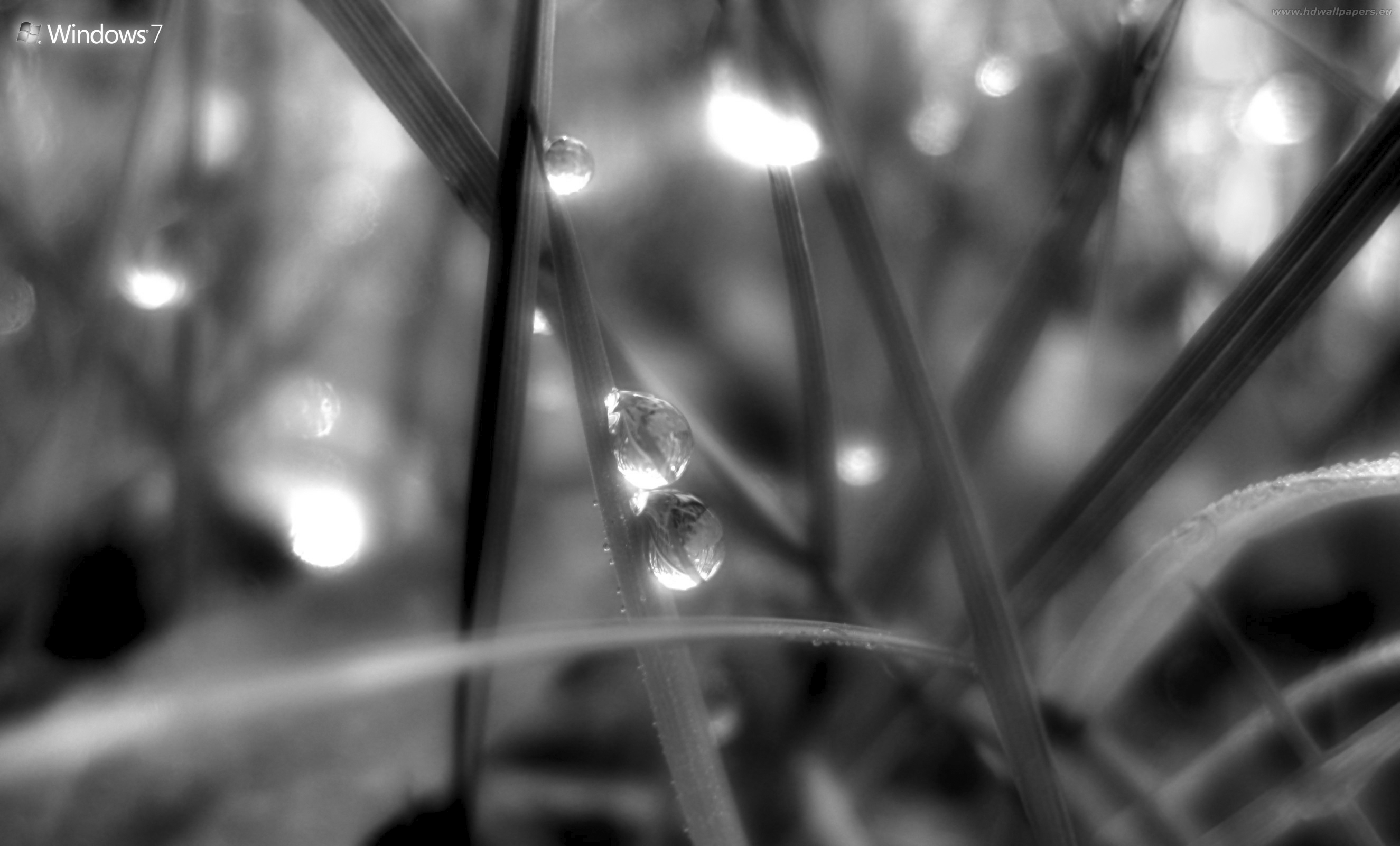 windows_7-tapety-2650x1600