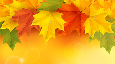 Autumn wallpapers