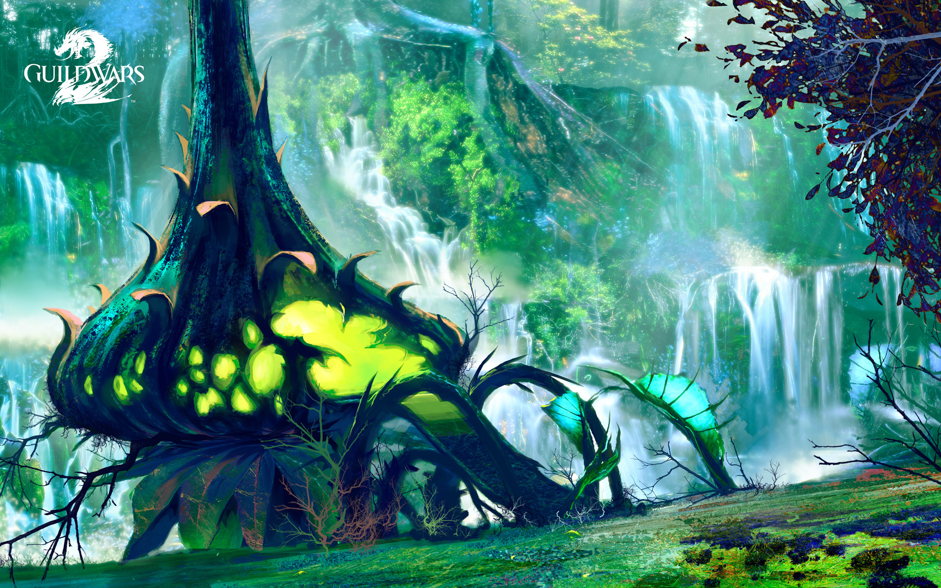 GuildWars2 Sylvari 1680x1050