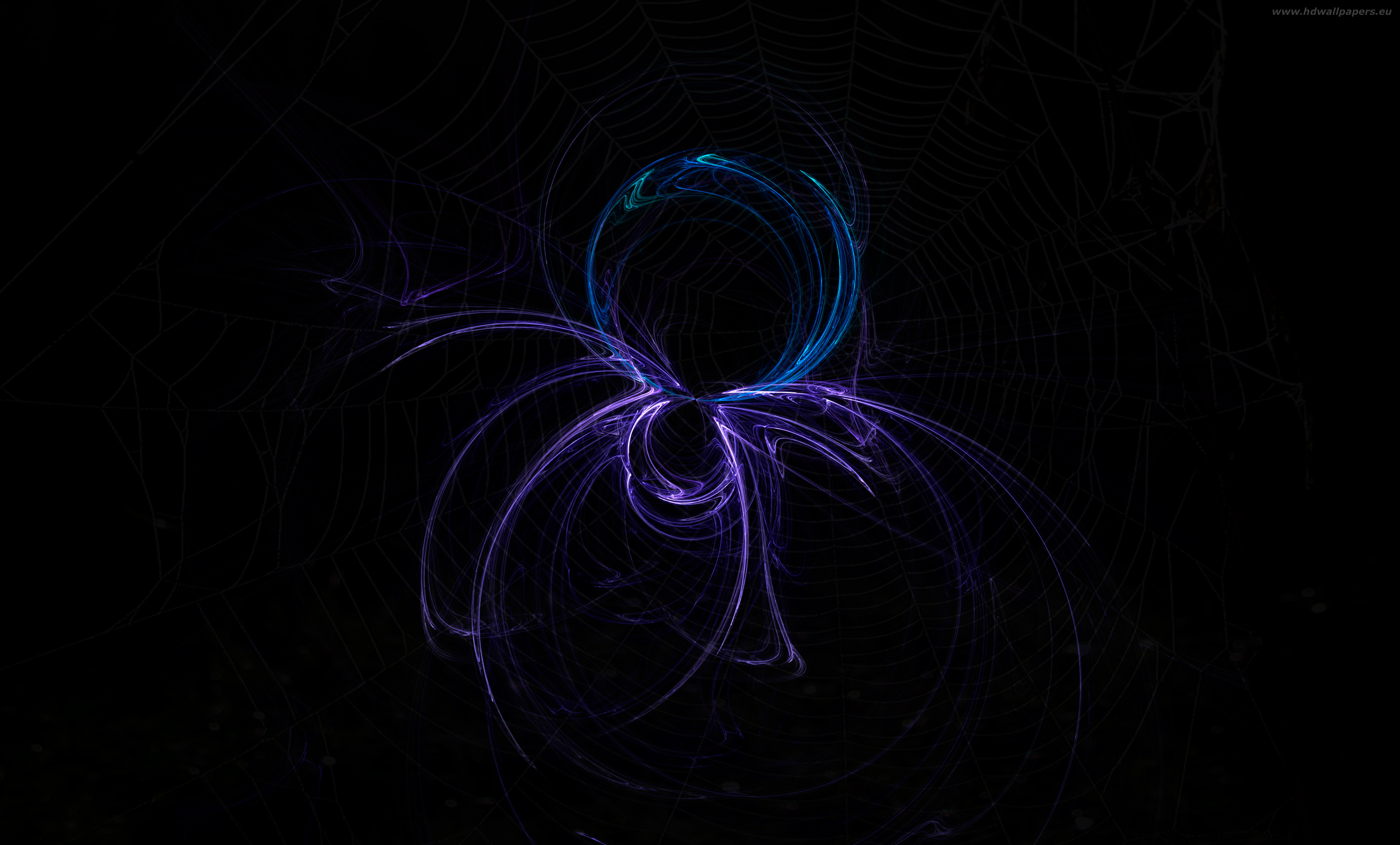 spider-tapety-na-plochu-zdarma-2650x1600