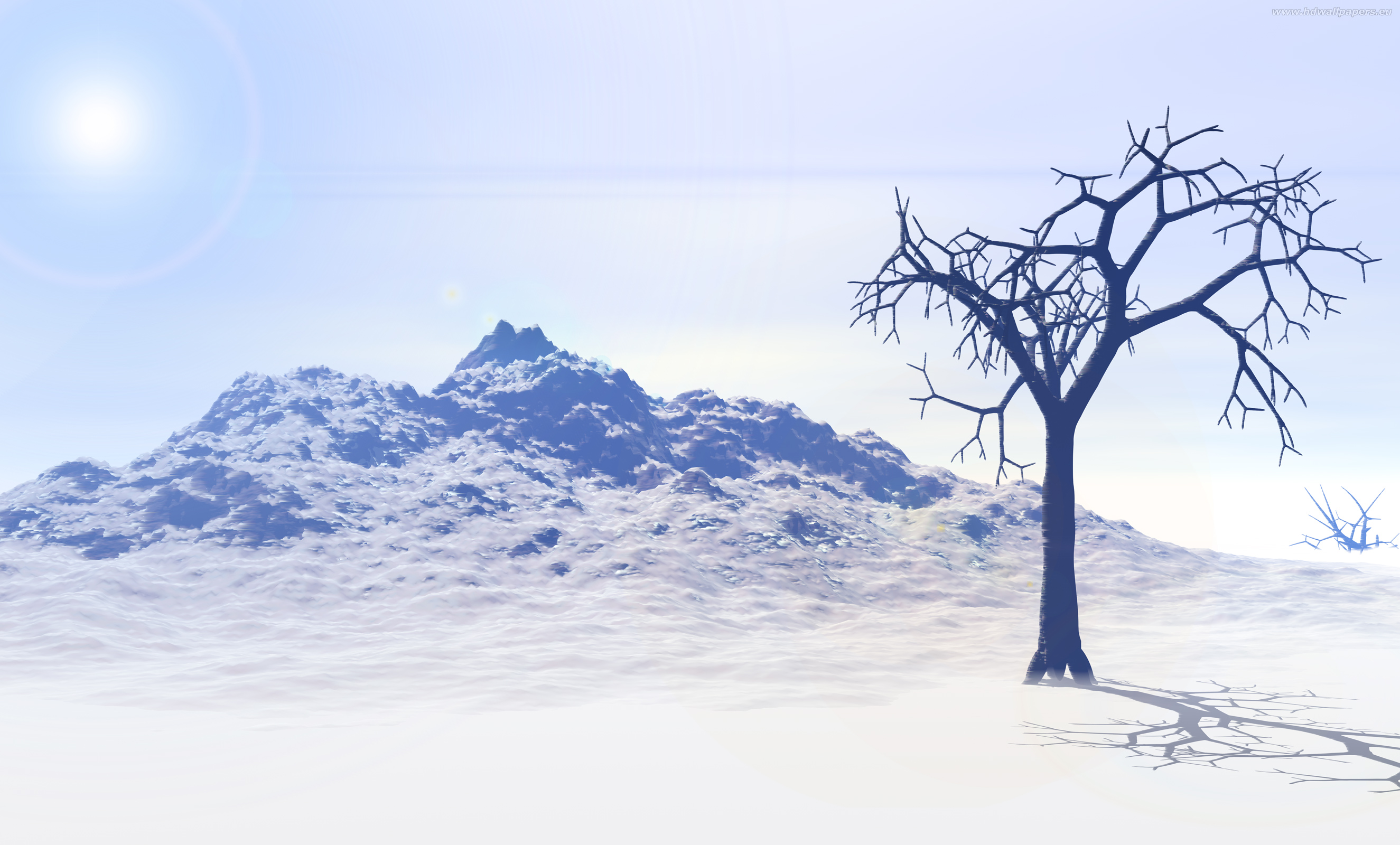 tapeta_mrtvy_strom_2650x1600
