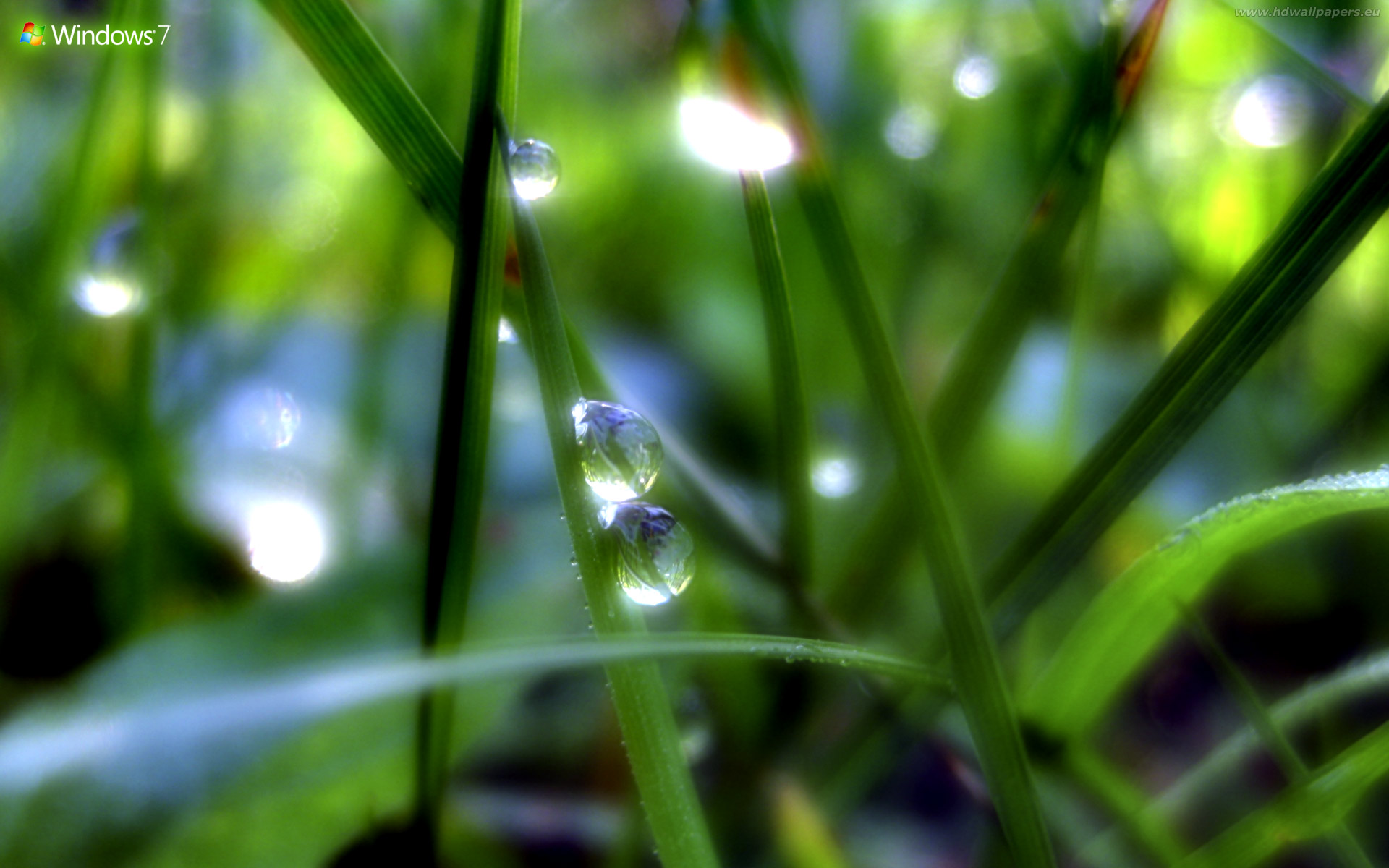 windows_7-tapety-1920x1200